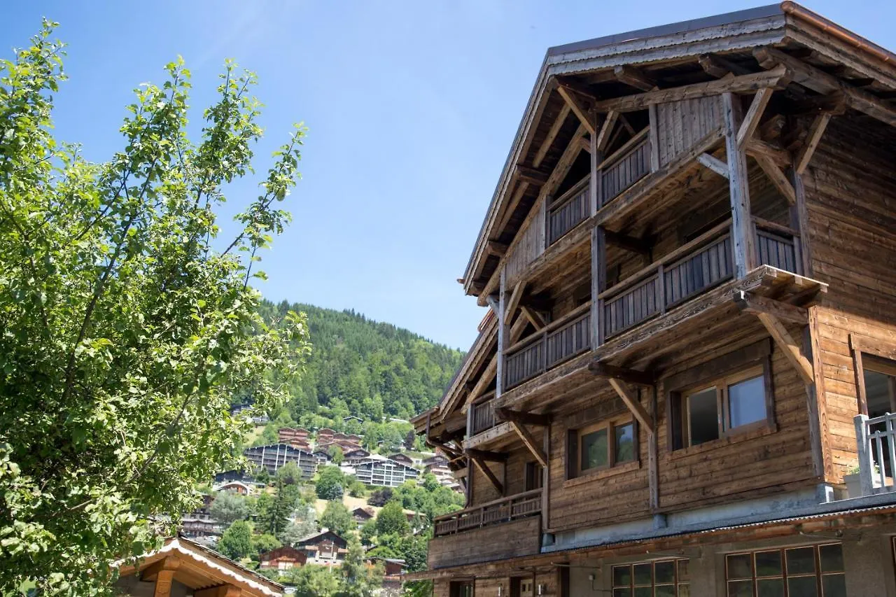 Chalet Du Samoyede 莫尔济讷 法国