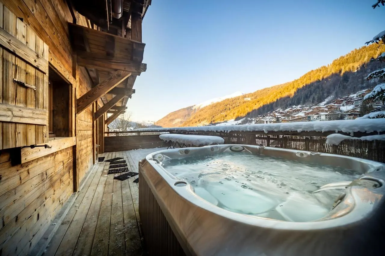 Chalet Du Samoyede 莫尔济讷