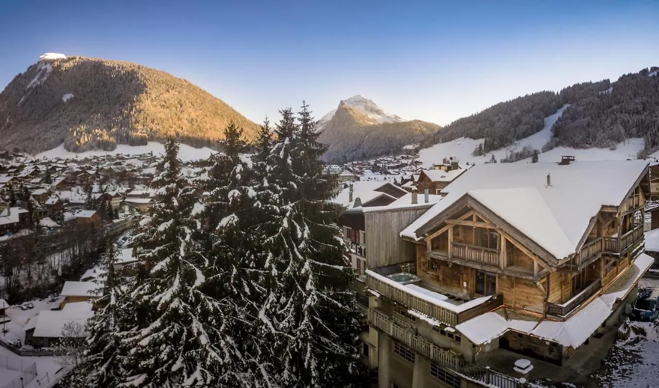 Chalet Du Samoyede 莫尔济讷 0*,